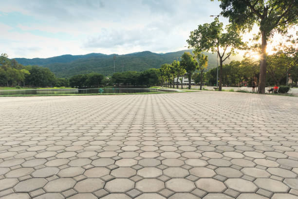Best Best Driveway Pavers  in Cass City, MI