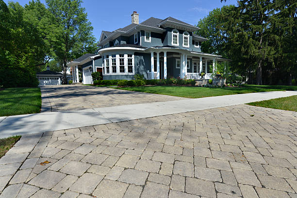 Best Driveway Paving Contractor  in Cass City, MI