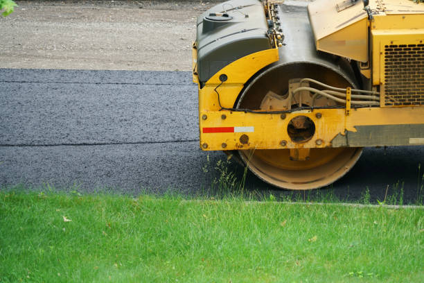 Best Local Driveway Pavers  in Cass City, MI
